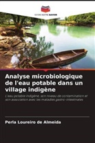 Perla Loureiro de Almeida - Analyse microbiologique de l'eau potable dans un village indigène