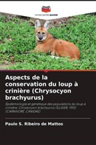 Paulo S. Ribeiro de Mattos - Aspects de la conservation du loup à crinière (Chrysocyon brachyurus)
