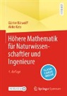 Bärwolff, Günter Bärwolff, Akiko Kato - Höhere Mathematik für Naturwissenschaftler und Ingenieure