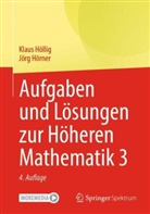 Klaus Höllig, Jörg Hörner - Aufgaben und Lösungen zur Höheren Mathematik 3