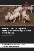 Jhordan Camilo Estéves Acuña, Cristian Tobar Cadena - Production of organic fertilizer and biogas from Porcinasse