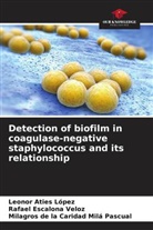 Leonor Aties López, Rafael Escalona Veloz, Milagros de la Caridad Milá Pascual - Detection of biofilm in coagulase-negative staphylococcus and its relationship