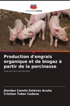 Jhordan Camilo Estéves Acuña, Cristian Tobar Cadena - Production d'engrais organique et de biogaz à partir de la porcinasse