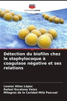 Leonor Aties López, Rafael Escalona Veloz, Milagros de la Caridad Milá Pascual - Détection du biofilm chez le staphylocoque à coagulase négative et ses relations