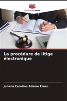 Johana Carolina Adame Erazo - La procédure de litige électronique