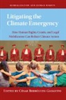 Cesar (New York University) Rodriguez-Garavito, César Rodríguez-Garavito - Litigating the Climate Emergency