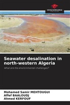 Affef Baaloudj, Ahmed Kerfouf, Mohamed Samir Mehtougui - Seawater desalination in north-western Algeria