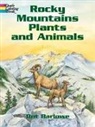 Dot Barlowe - Rocky Mountains Plants & Animals Co