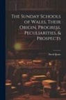 David Evans - The Sunday Schools of Wales, Their Origin, Progress, Peculiarities, & Prospects