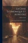 Charles Cotard - La Crise Èconomique Et Agricole: Aménagement Des Eaux Pour L'irrigation