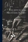 Émile Boulanger - Les mycelium truffiers blanc