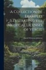 Harold Whetstone Johnston - A Collection of Examples Illustrating the Metrical Licenses of Vergil