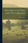 Charles Johnston - Ireland, Historic and Picturesque