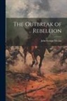 John George Nicolay - The Outbreak of Rebellion