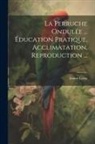 Ernest Leroy - La Perruche Ondulée ... Éducation Pratique, Acclimatation, Reproduction