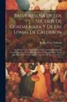 Basilio Pérez Gallardo - Breve Reseña De Los Sucesos De Guadalajara Y De Las Lomas De Calderon; O, Diario De Las Operaciones Y Movimientos Del Ejército Federal, Despues De La
