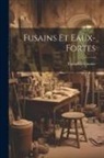 Théophile Gautier - Fusains Et Eaux-Fortes