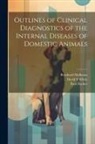 Paul Fischer, Bernhard Malkmus, David S. White - Outlines of Clinical Diagnostics of the Internal Diseases of Domestic Animals
