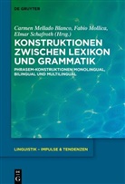 Carmen Mellado Blanco, Fabio Mollica, Elmar Schafroth - Konstruktionen zwischen Lexikon und Grammatik