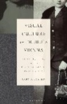 Mary Bergstein - Visual Culture in Freud's Vienna