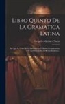 Gregorio Mayáns Y Siscar - Libro Quinto De La Gramatica Latina: En Que Se Trata De La Orthoepeya, O Buena Pronunciacion I De La Orthografia, O Buena Escritura