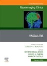 Mauricio Castillo, Mauricio (Professor of Radiology Castillo, Castillo Mauricio, Mahmud Mossa-Basha, Carlos A Zamora, Carlos A. Zamora... - Vasculitis, An Issue of Neuroimaging Clinics of North America: Volume 34-1