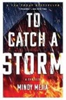 Mindy Mejia, Mejia Mindy, Mindy Mejia - To Catch a Storm