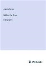 Joseph Conrad - Within the Tides