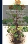 Zulma Tonrangin Carraud - Les Métamorphoses D'une Goutte D'eau: Suivies Des Aventures D'une Fourmai, Des Guêpes, De La Goutte De Rosée, Etc