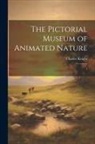 Charles Knight - The Pictorial Museum of Animated Nature: 1