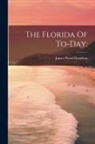 James Wood [From Old Davidson - The Florida Of To-day