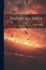 Charles Dixon - British Sea Birds