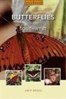 Jim Brock - Butterflies of the Southwest