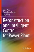 Chuanliang Cheng, Chen Peng, Ling Wang - Reconstruction and Intelligent Control for Power Plant