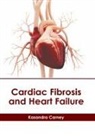Kasandra Carney - Cardiac Fibrosis and Heart Failure