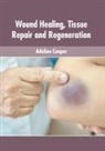 Adelina Cooper - Wound Healing, Tissue Repair and Regeneration