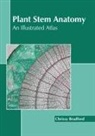 Chrissy Bradford - Plant Stem Anatomy: An Illustrated Atlas