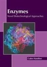 Caden Hamilton - Enzymes: Novel Biotechnological Approaches