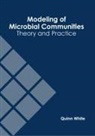 Quinn White - Modeling of Microbial Communities: Theory and Practice