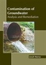Jonah Murray - Contamination of Groundwater: Analysis and Remediation