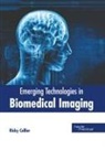Ricky Collier - Emerging Technologies in Biomedical Imaging