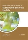 Jamie Mason - Principles and Practice of Sustainable Business Models