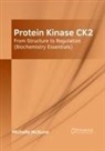 Michelle Mcguire - Protein Kinase Ck2: From Structure to Regulation (Biochemistry Essentials)