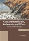 Brett Green - Contaminated Soils, Sediments and Water: Issues and Challenges