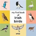 My First Book of Irish Birds