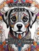 Colorzen - Luminous Labs