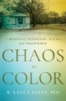 R. Layla Salek - Chaos in Color