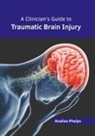 Analise Phelps - A Clinician's Guide to Traumatic Brain Injury