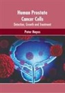 Peter Hayes - Human Prostate Cancer Cells: Detection, Growth and Treatment