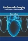 Aaron Jackson - Cardiovascular Imaging: From Techniques to Clinical Interpretation